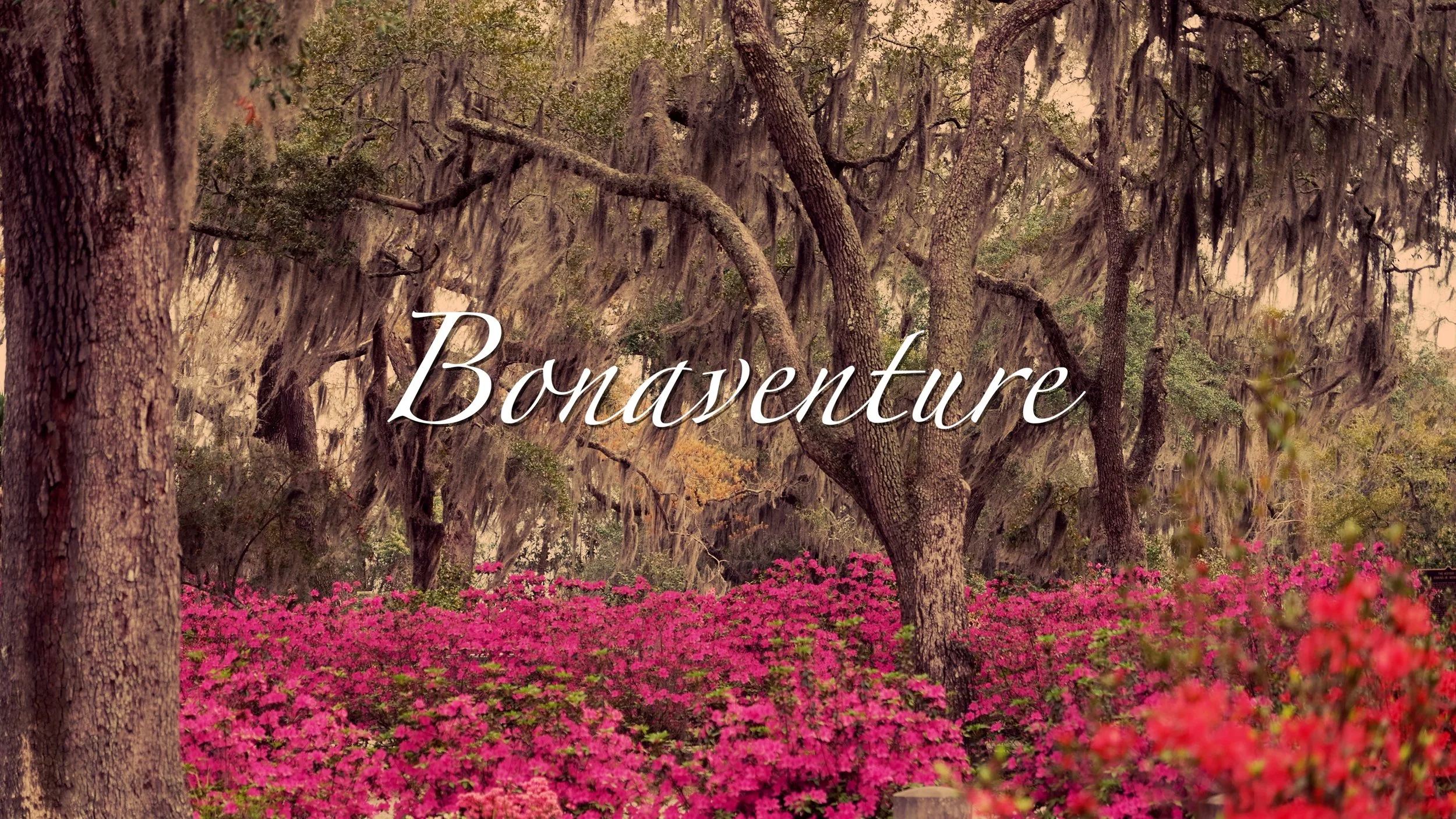 Bonaventure Cemetery in Savannah Georgia — Savannah Proper